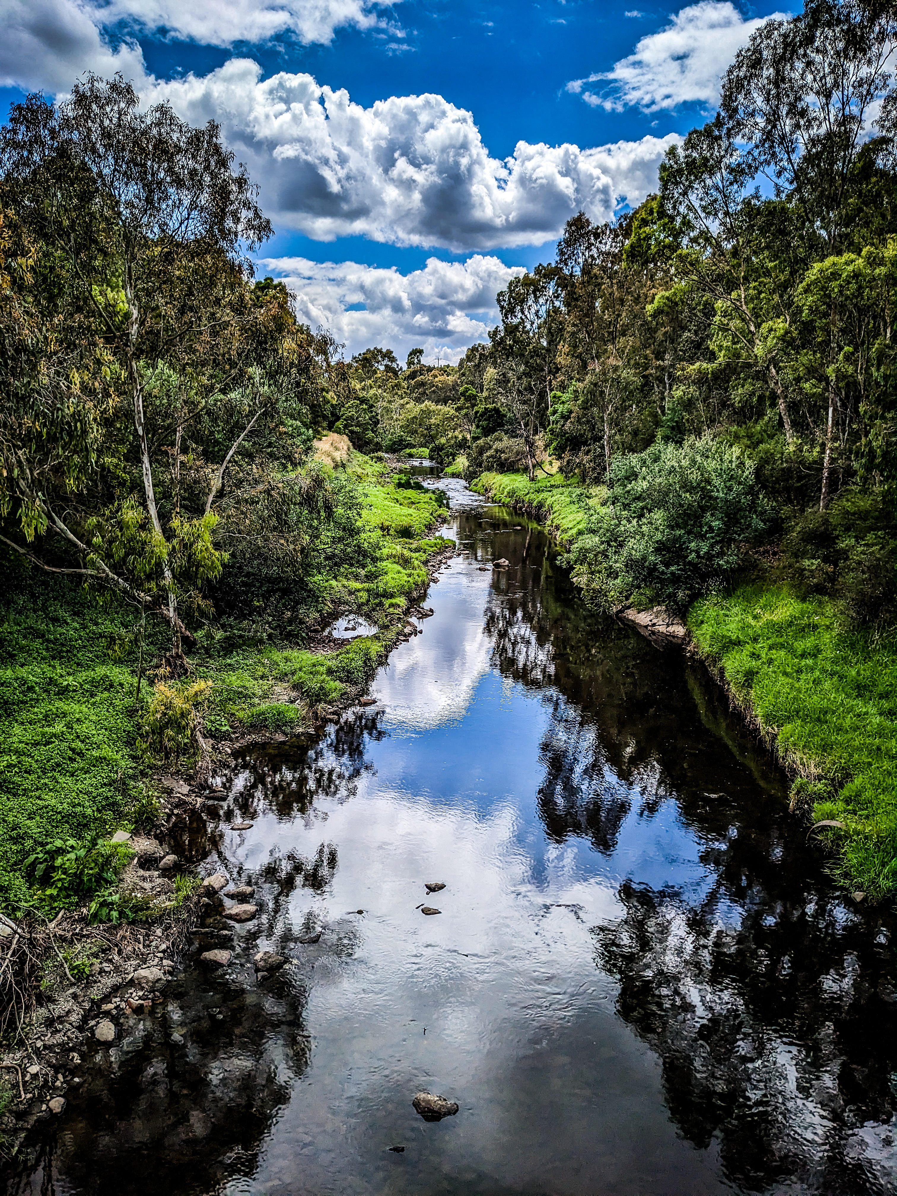 The amazing wilderness of Victoria, Australia