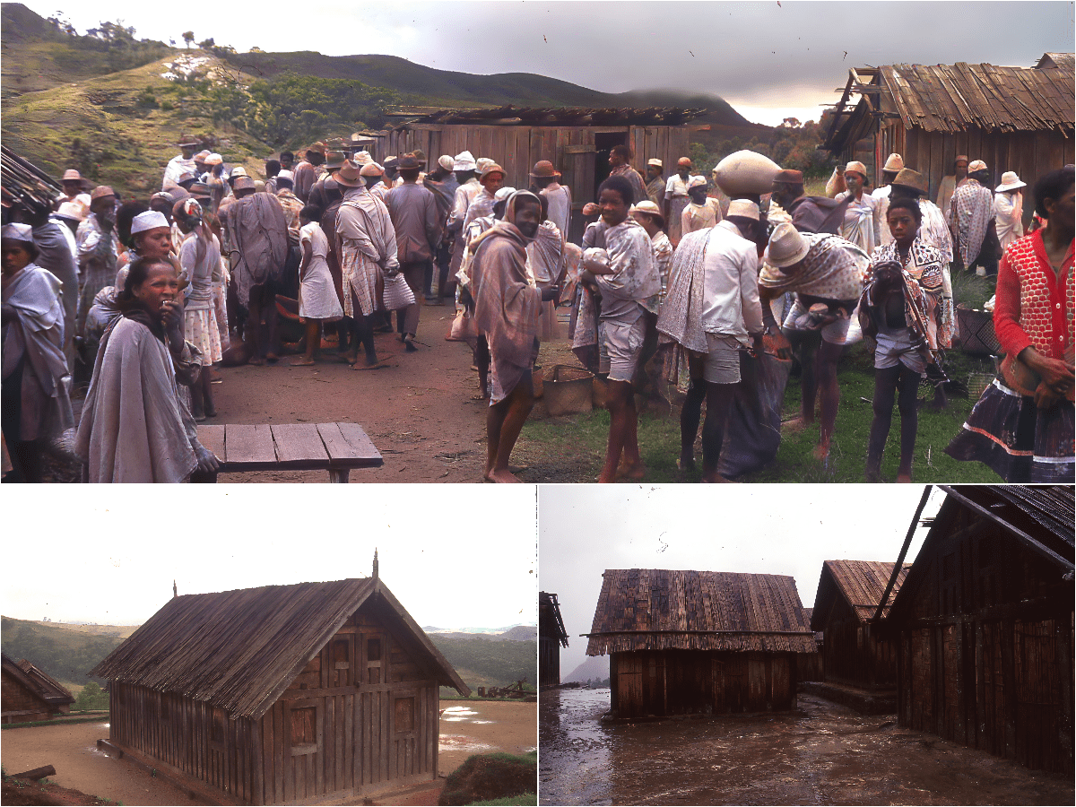 Zafimaniri of Madagascar