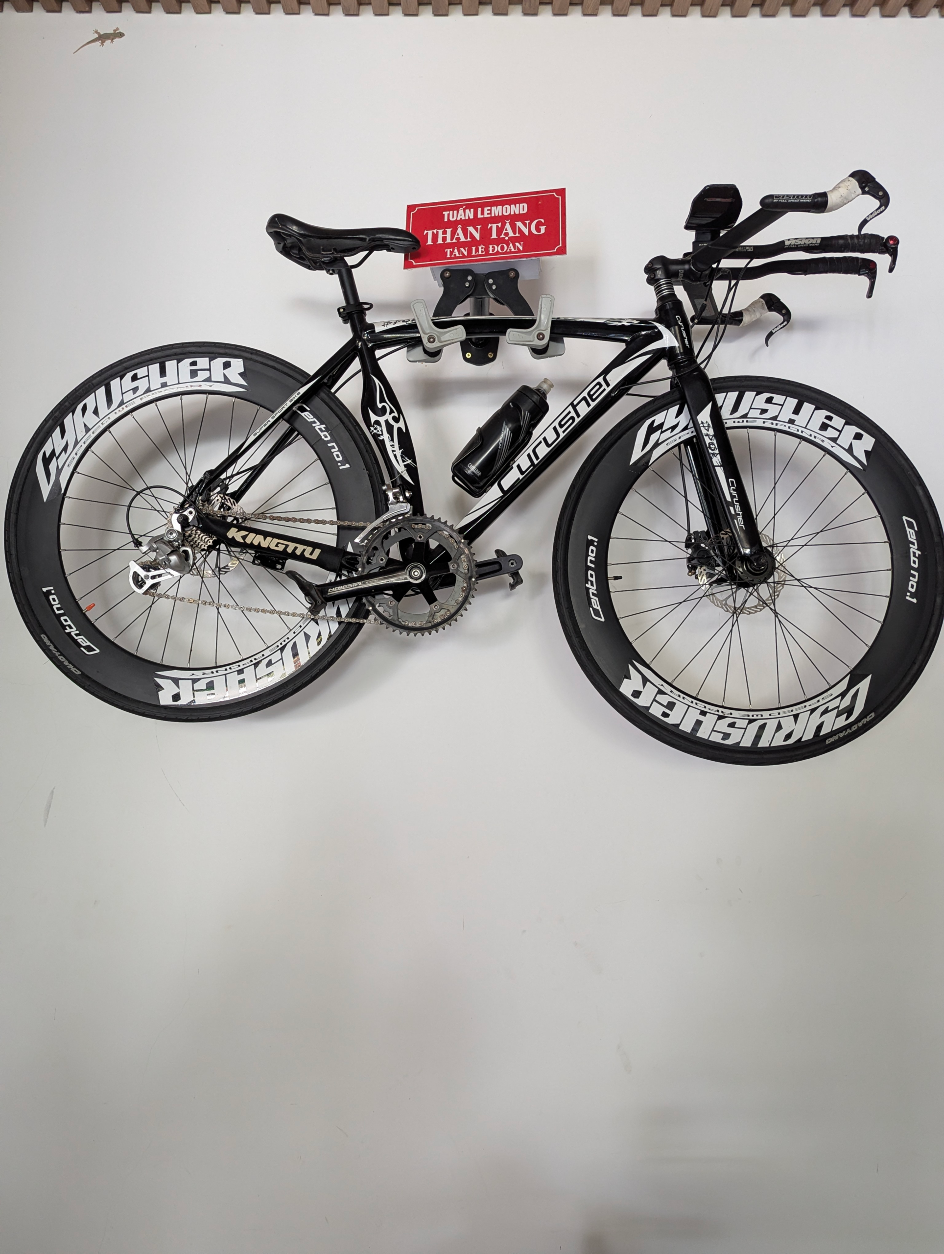 A Bicycle on a Wall — Greg LeMond and a Ride Toward Reconciliation