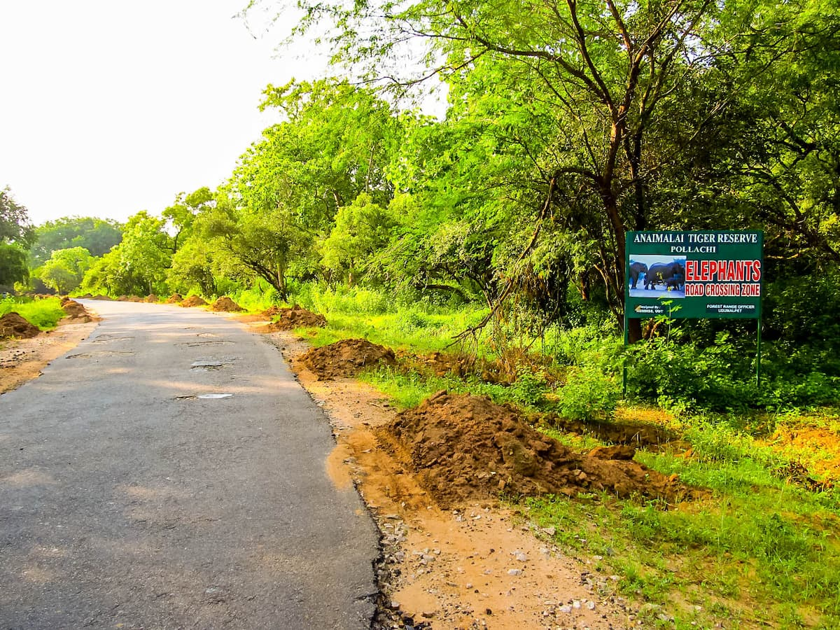 ELEPHANTS ROAD CROSSING ZONE sign